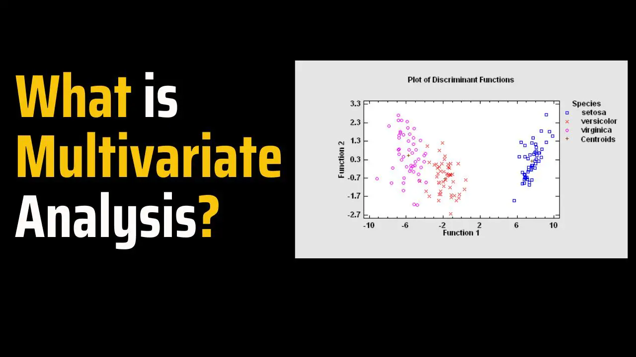 What Is Multivariate Analysis?