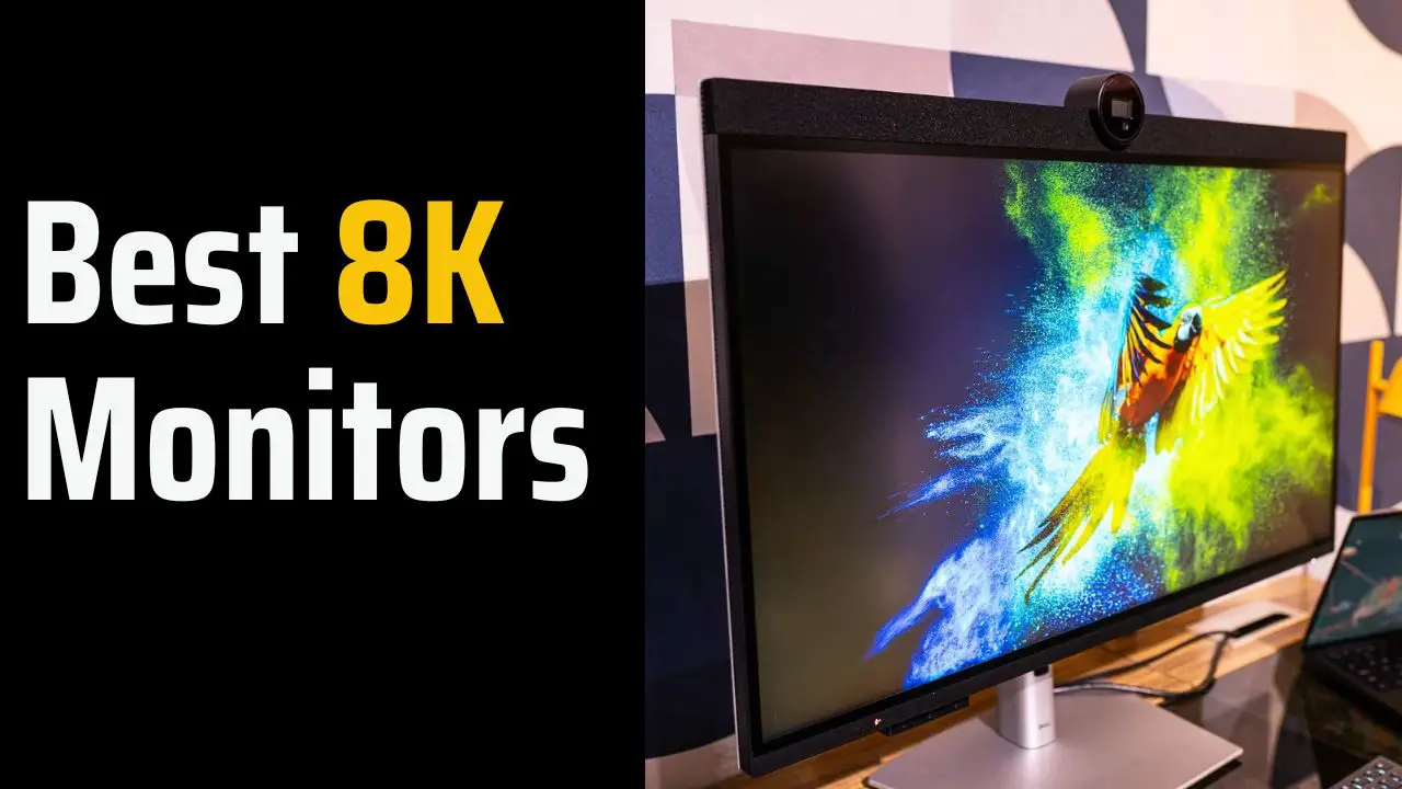 The best 5K and 8K monitors in February 2024