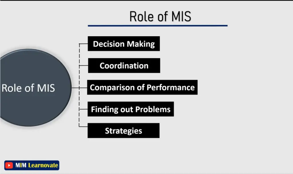 Role of MIS ppt