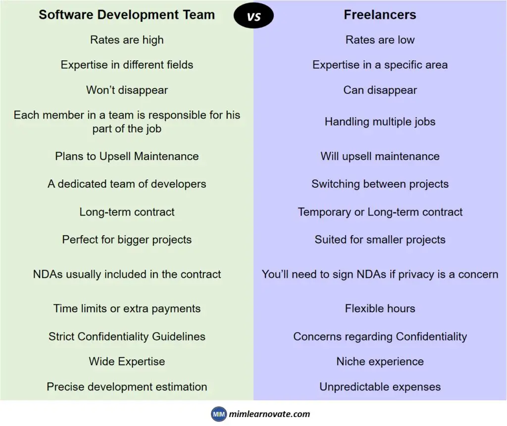 Software Development Team vs Freelancer