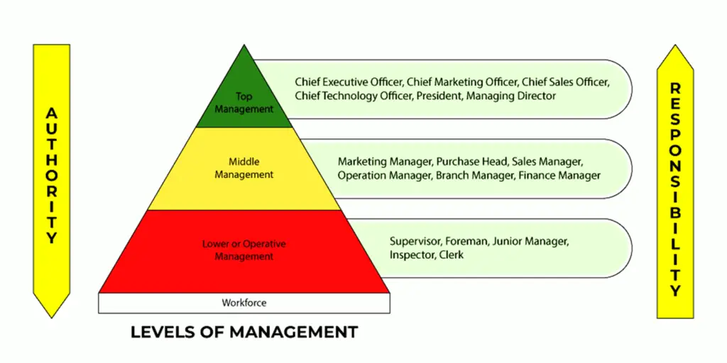 Levels of Management -Top, Middle, and Lower Management