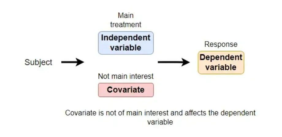What Are Covariates?